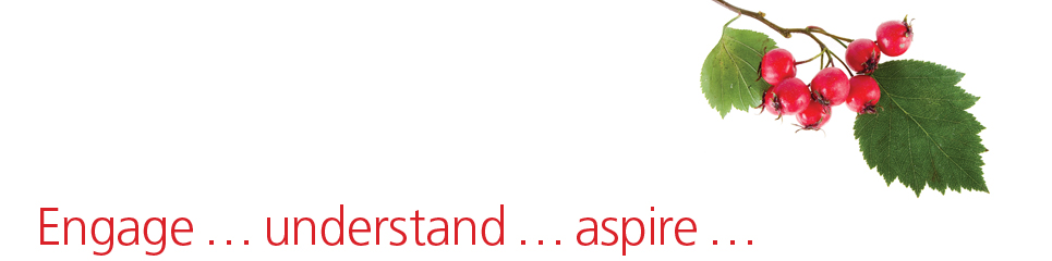 Engage understand aspire